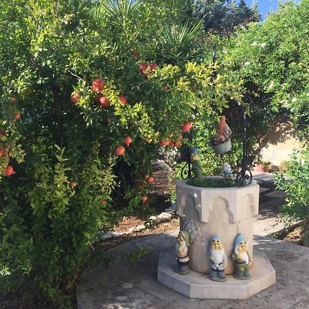 فندق Il Giardino Della Foglia باري المظهر الخارجي الصورة