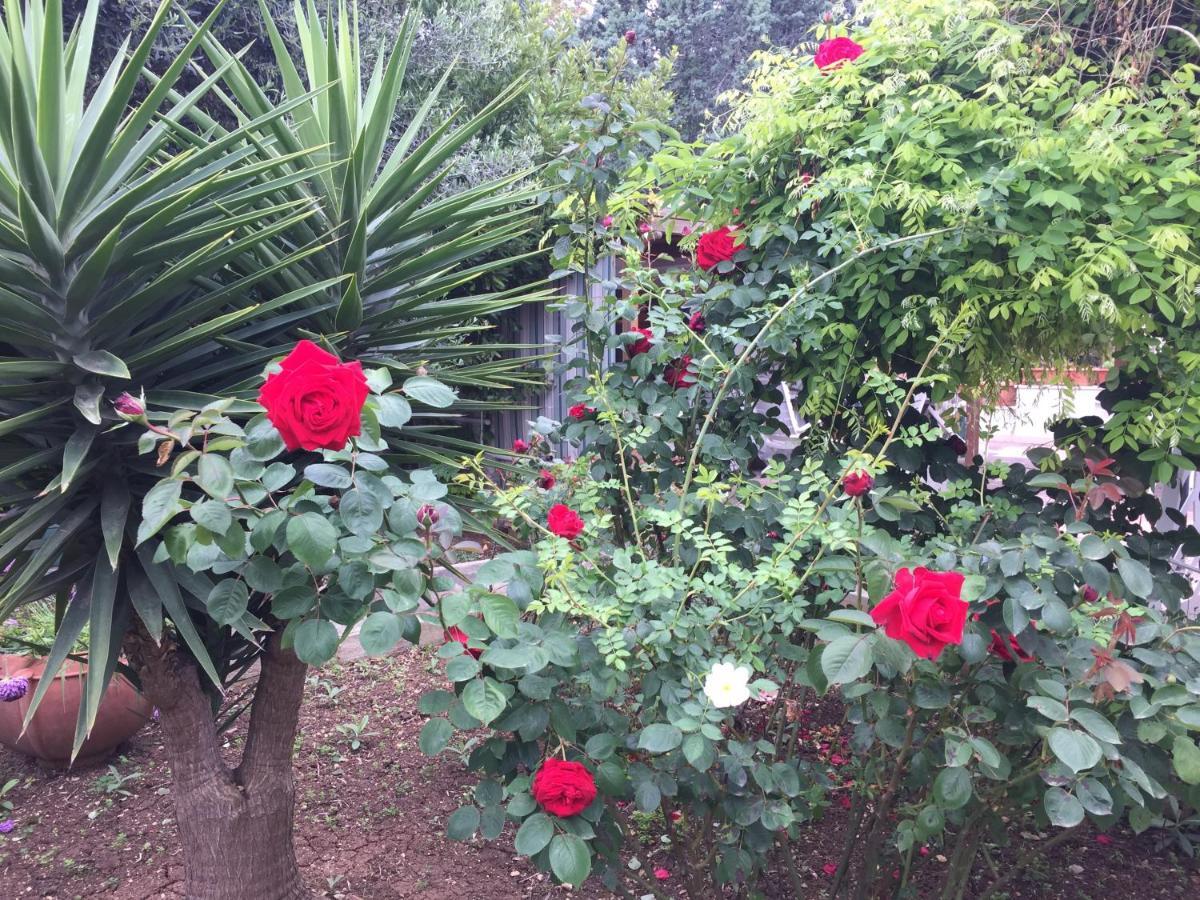 فندق Il Giardino Della Foglia باري المظهر الخارجي الصورة